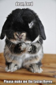 Funny-Animals-easter-bunny